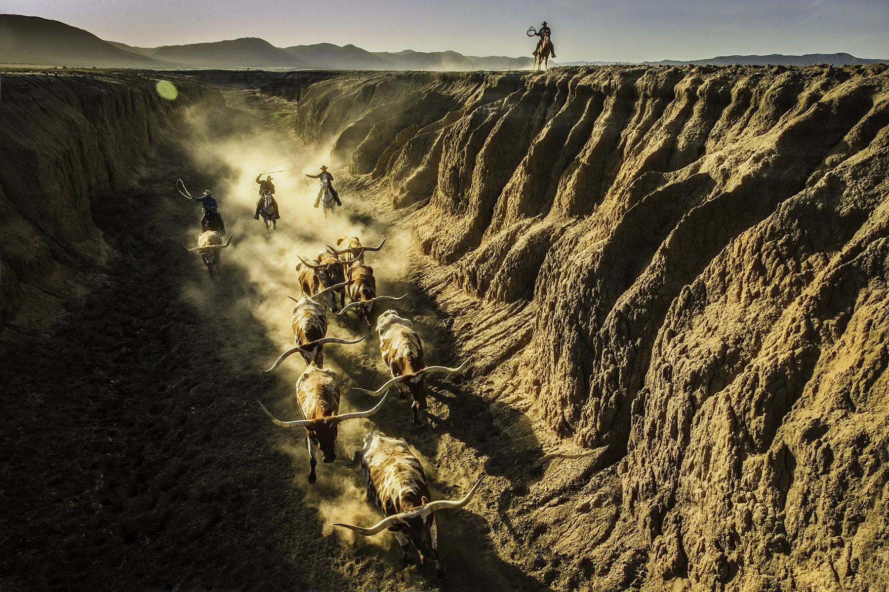 Frontier No. 11, 2020
Archival pigment print
40 × 60 in., edition of 7
60 × 75 in., edition of 3
Signed and editioned on artist label