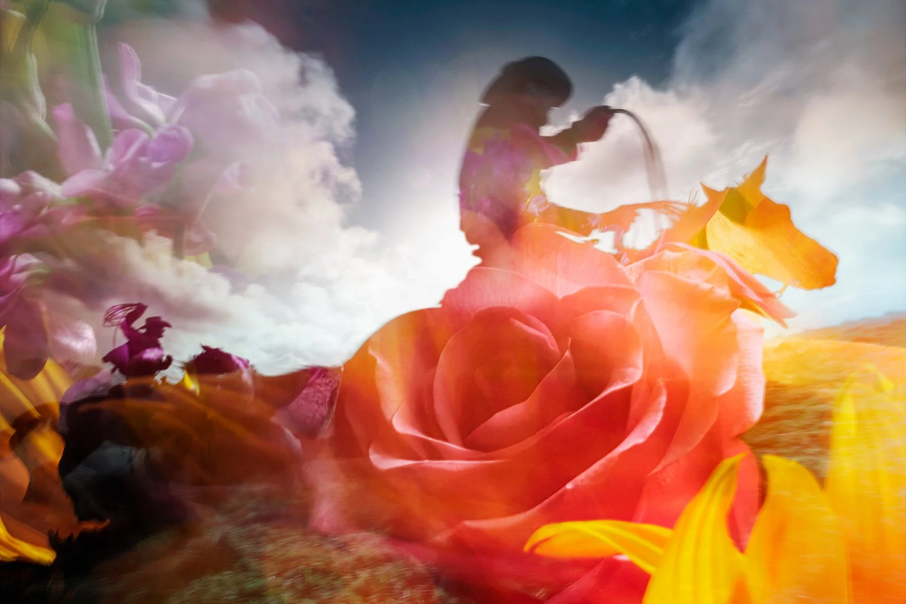 Under the Sun No. 1, 2026
Archival pigment print 
17x22 inch, Edition of 5
40x60 inch, Edition of 7