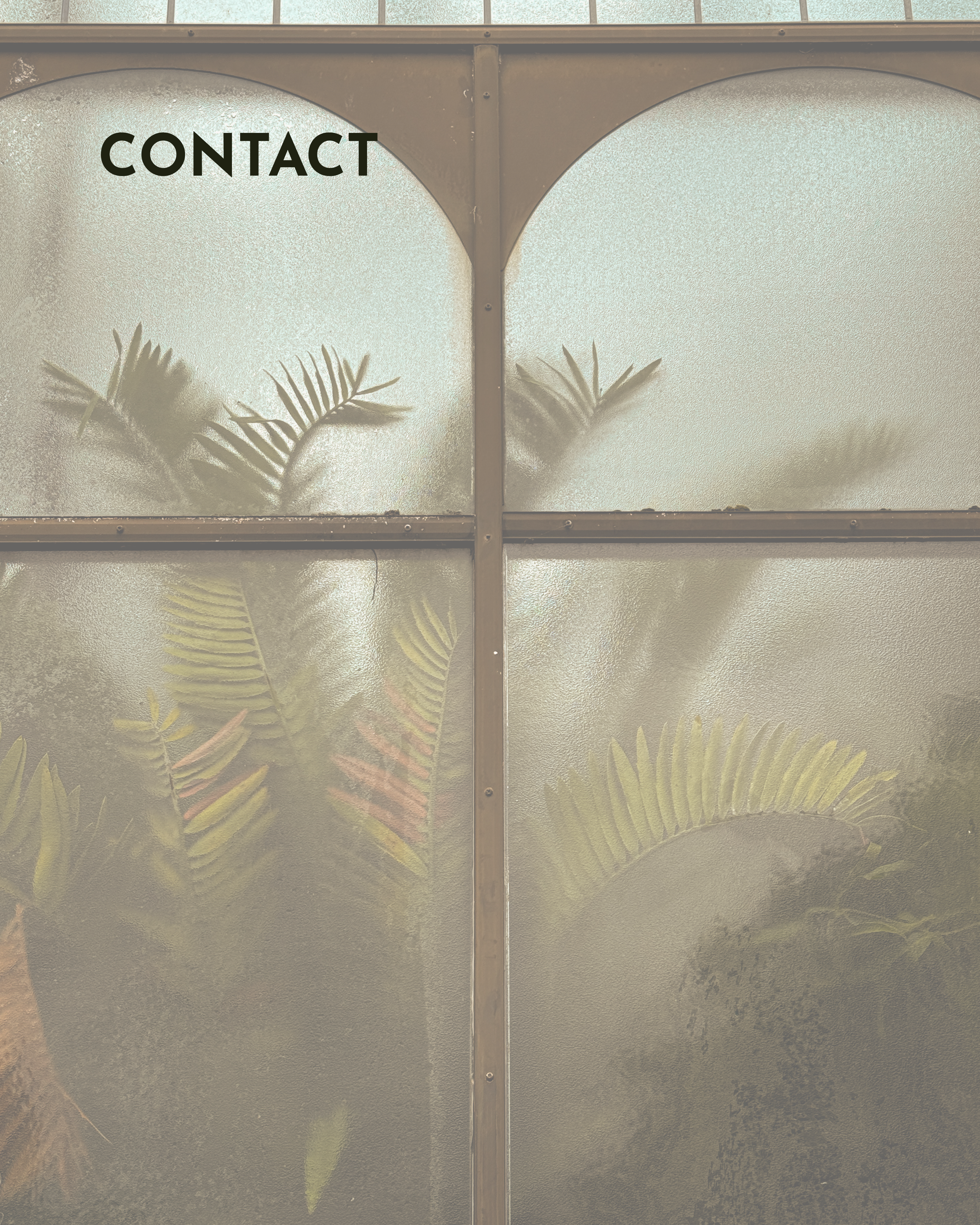 Palm leaves pushing against textured glass green house.