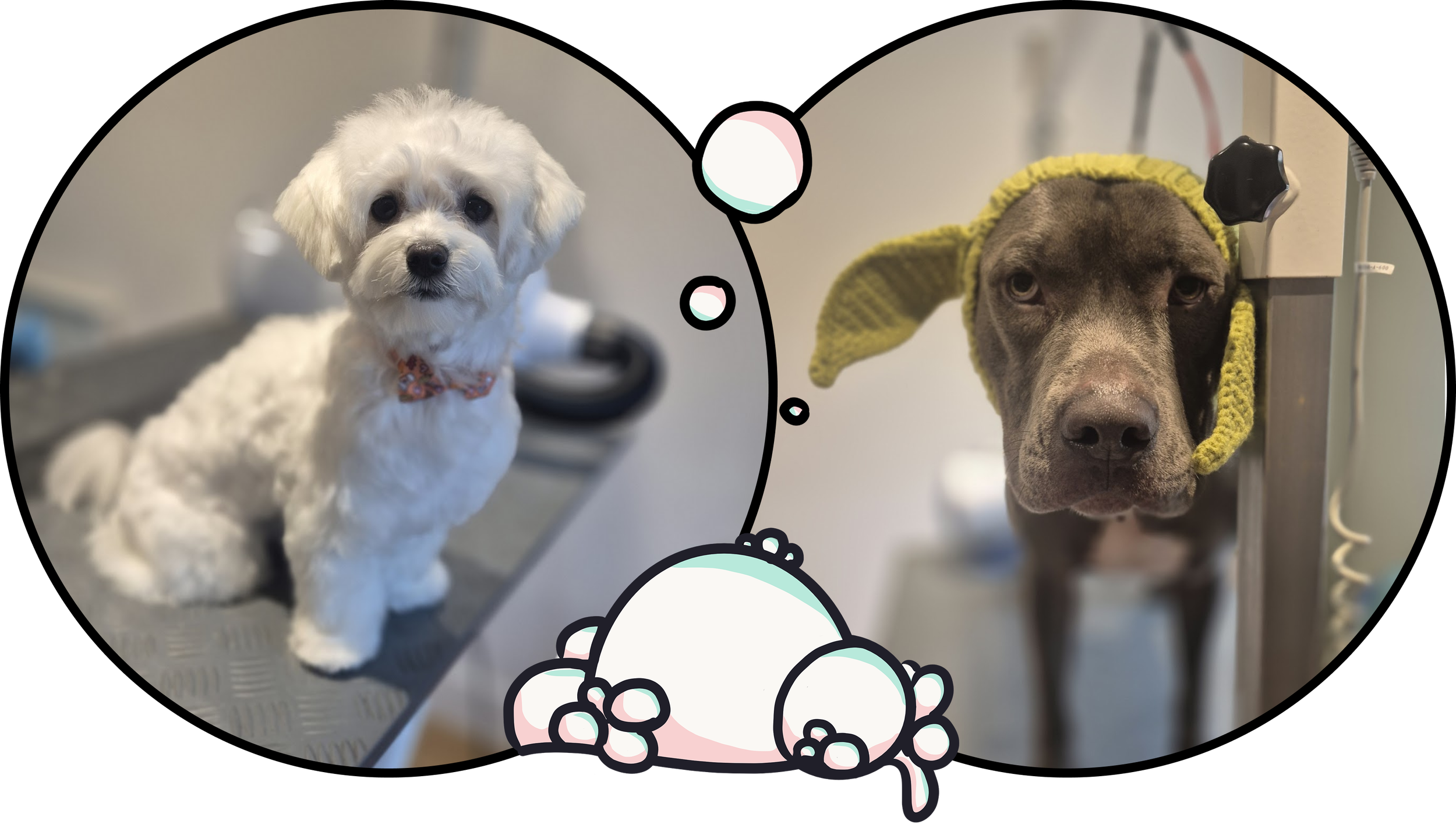 A split-screen graphic with a white dog on the left side and a brown dog on the right side, connected by a thought bubble with bubbles at the bottom. The Wiggle Wash, Dog Groomer, West Drayton, UB7