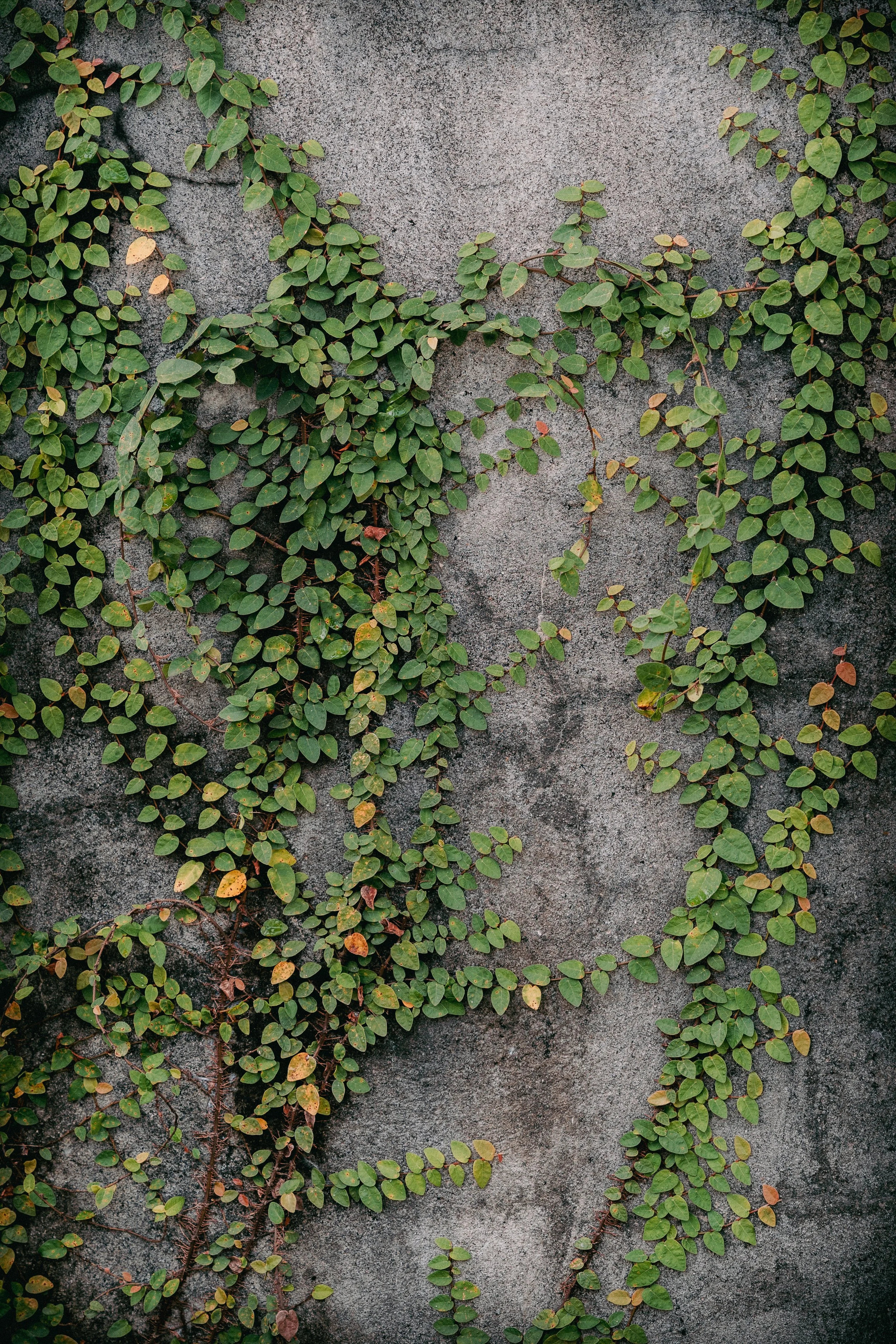 Textures 31.jpg