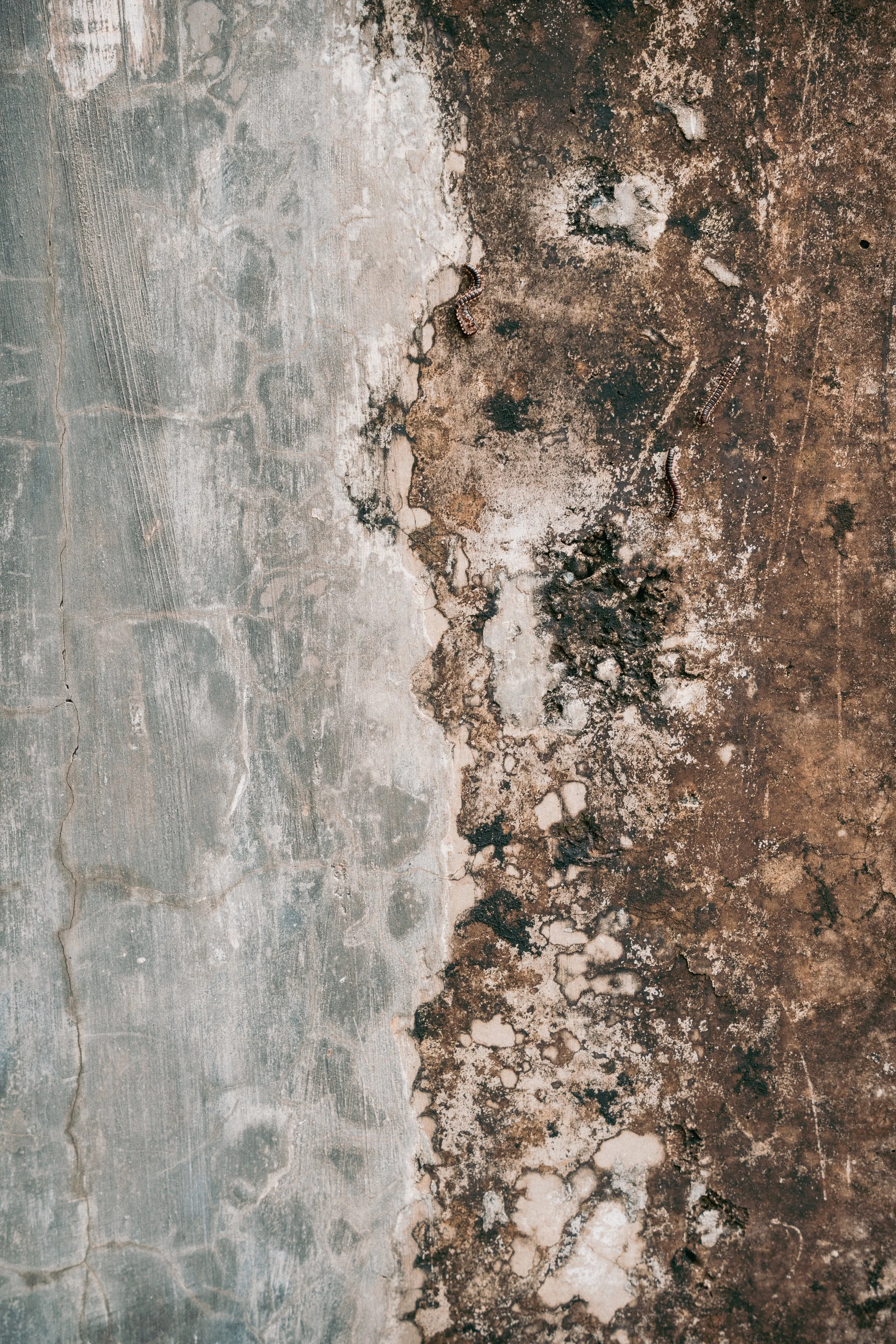 Textures 36.jpg