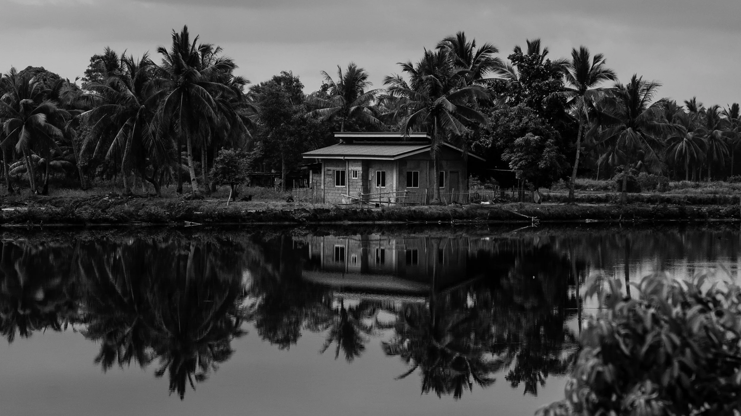 A house surrounded by tall palm trees and other vegetation, reflected in a body of water in the foreground, in a black and white photograph.