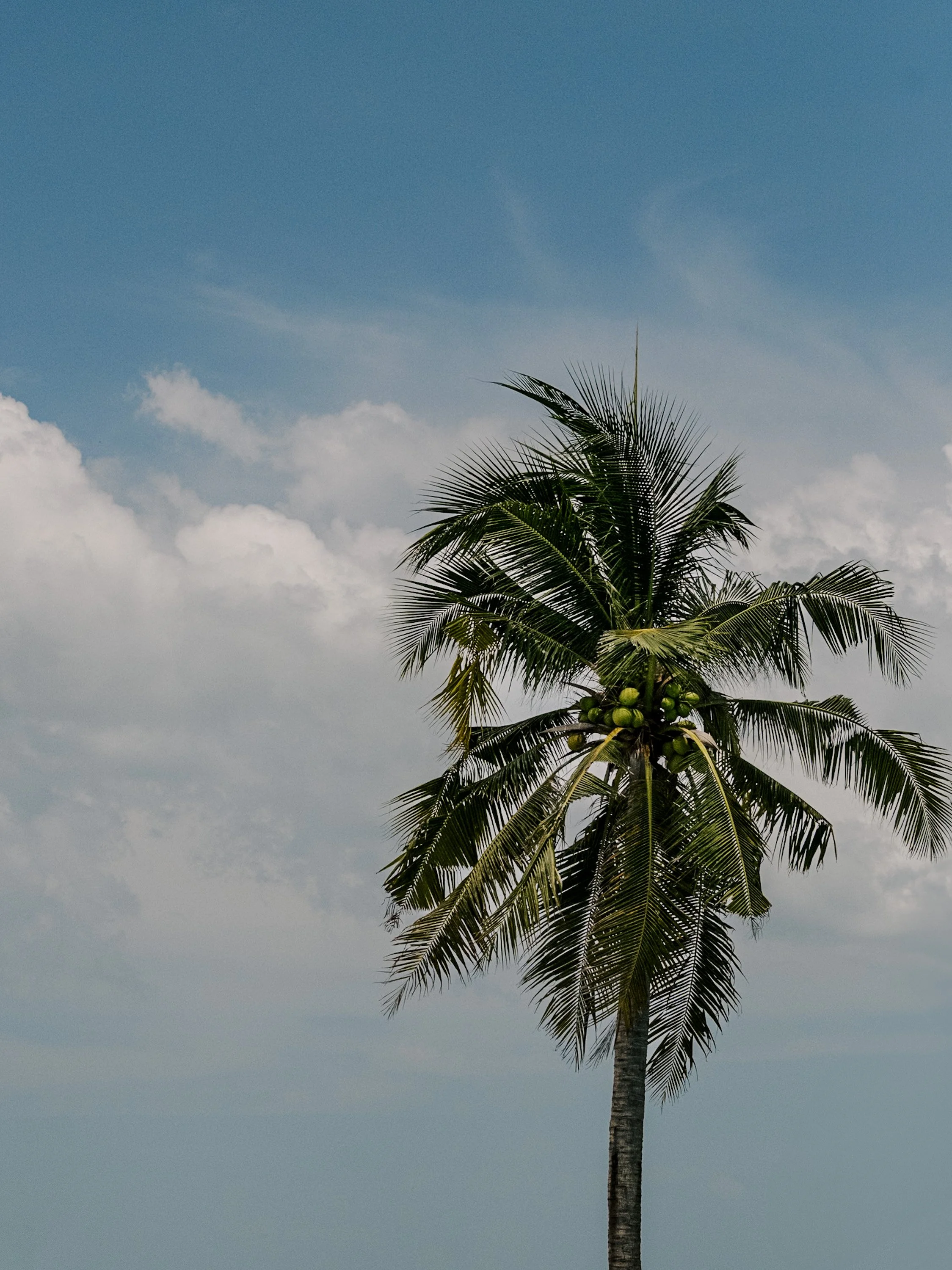 DSCF3295 2.JPG