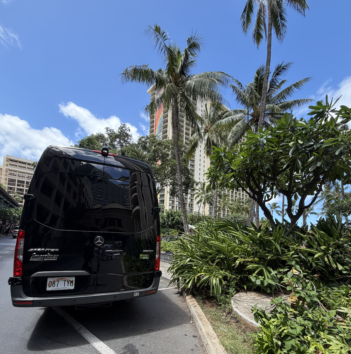 Back of a black Mercedes-Benz Sprinter van parked on the street next to a landscaped area with green bushes and palm trees. Tall buildings and a blue sky with some clouds are in the background.