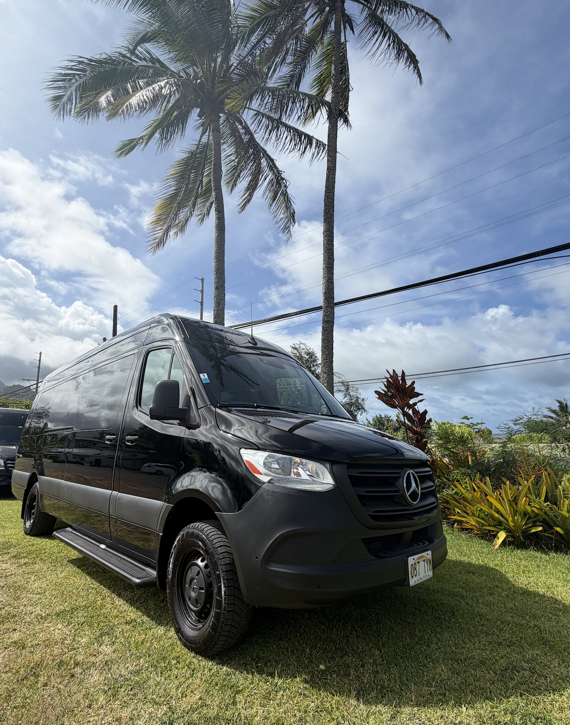 A black Mercedes-Benz Sprinter van parked on a grassy area with palm trees and tropical plants in the background, under a partly cloudy sky.