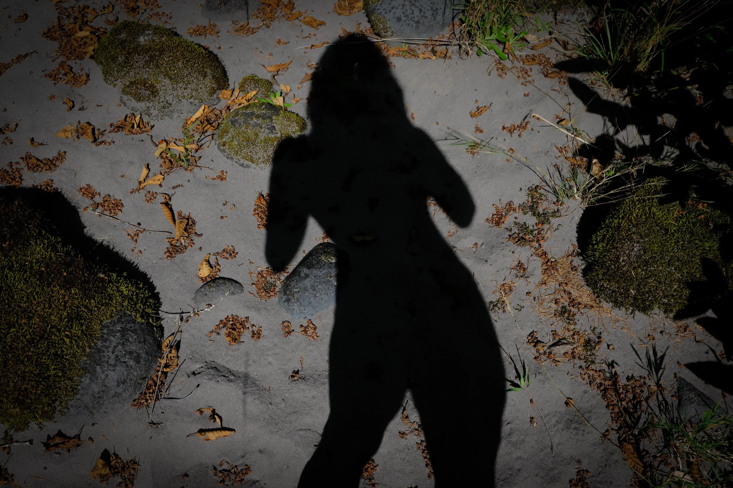 shadow2.jpg