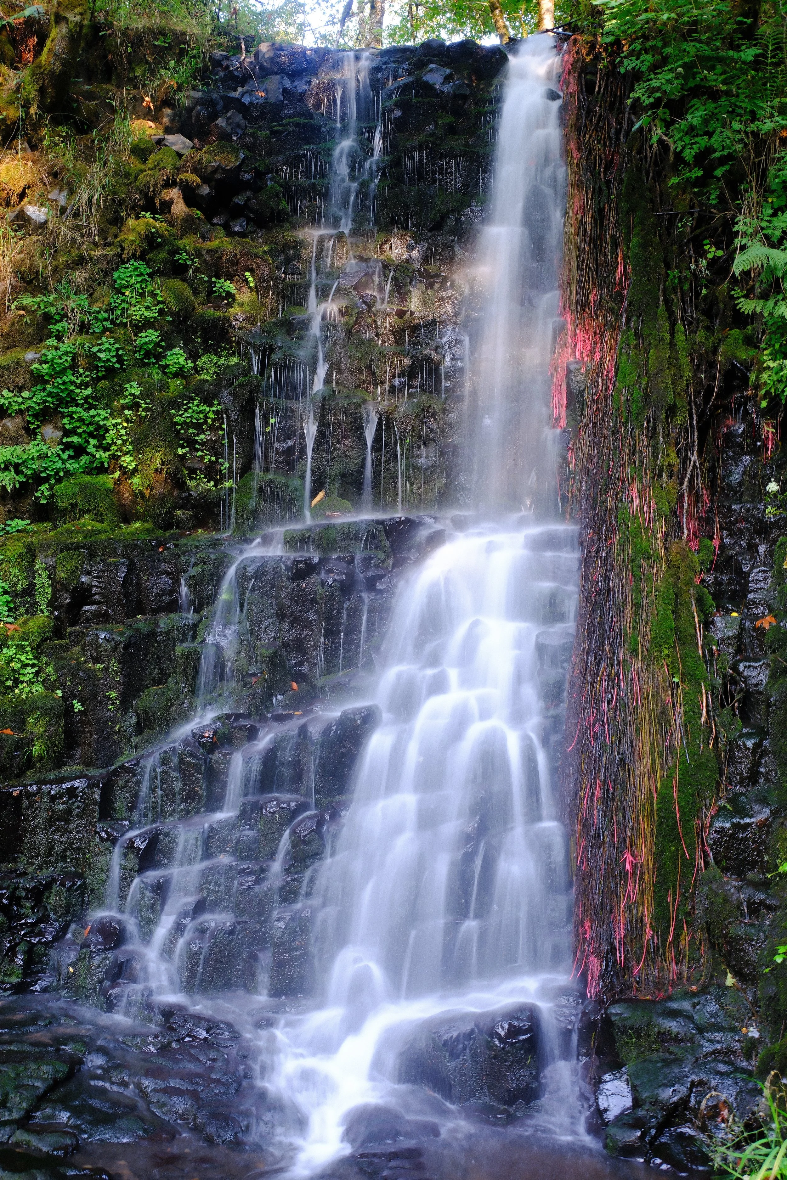 waterfall6.jpg
