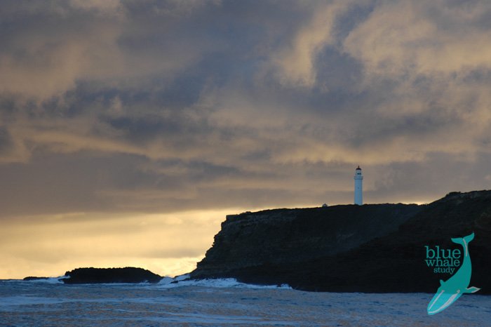 7_cape_nelson.jpg