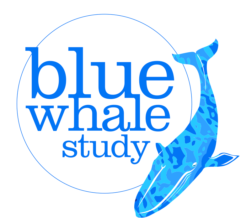 Blue Whale Study 