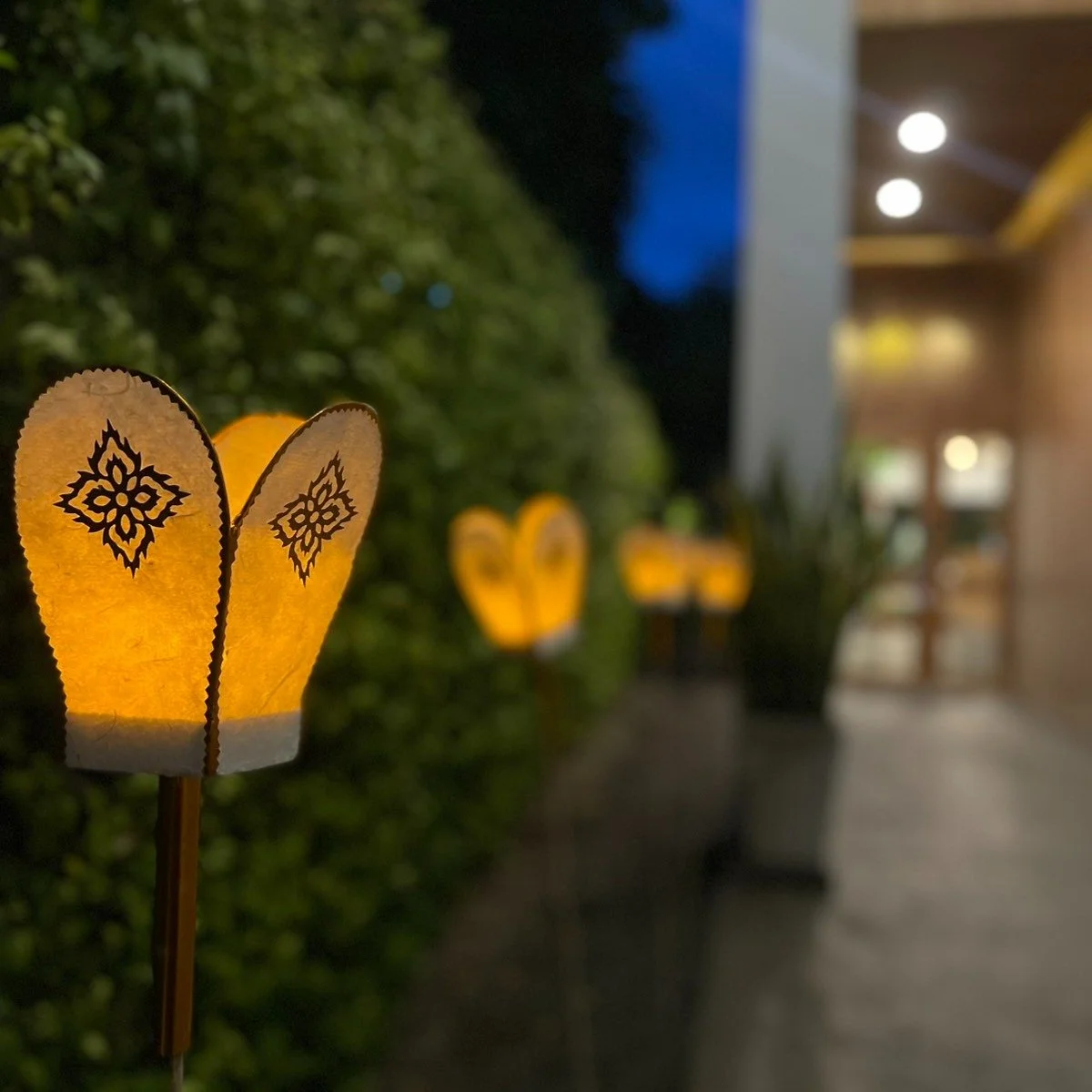 Delighted to host our wonderful guests during Loy Krathong, the absolute best time to be in Chiang Mai. Have a wonderful festival everyone 🎉