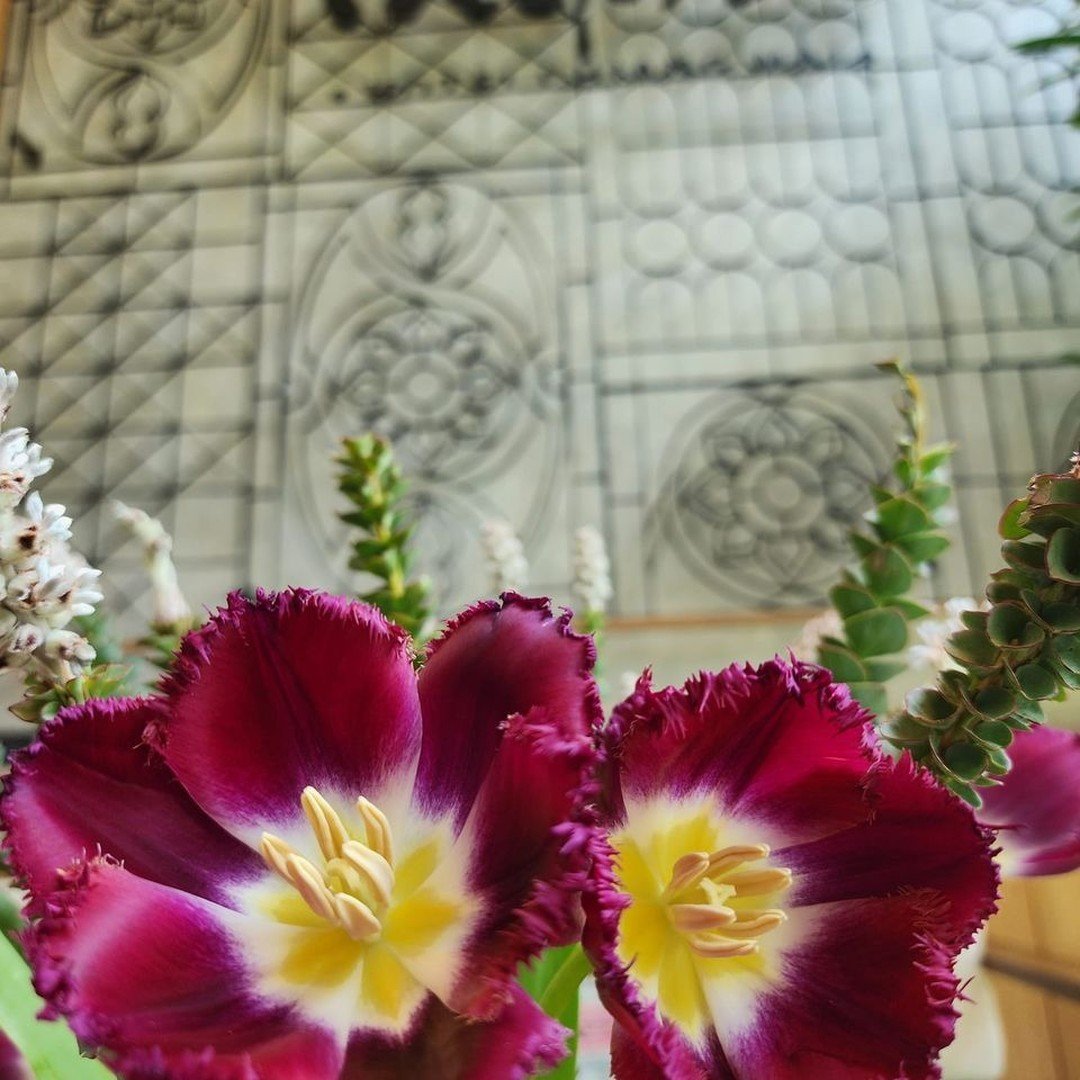 Happy Sunday🌷

If you feel like doing some work, 
sit down and wait.....until that feeling goes away!!