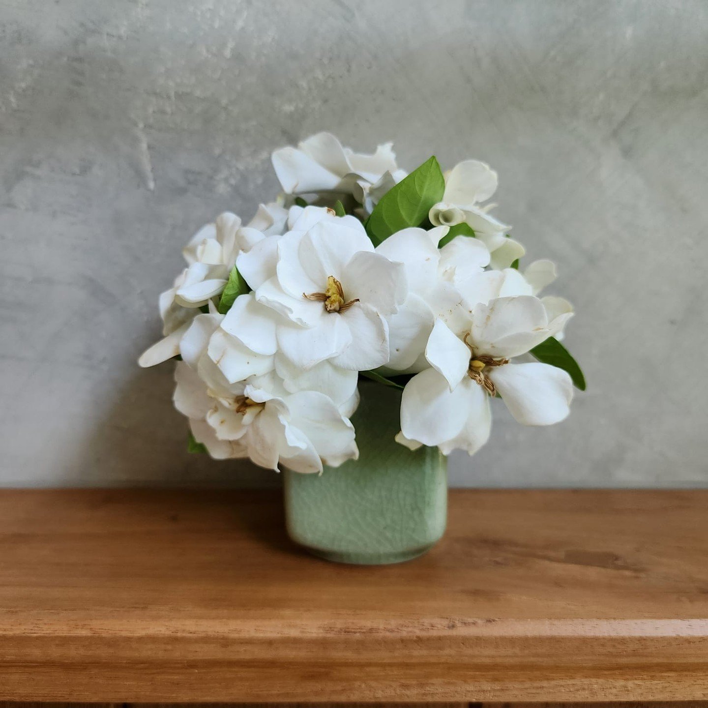 ได้ดอกเก็ดถะหวาหอมกรุ่นมาจากสวนบ้านเพื่อนเลยชวนน้องๆมาต้อนรับลูกค้าที่โรงแรมด้วยกัน😊