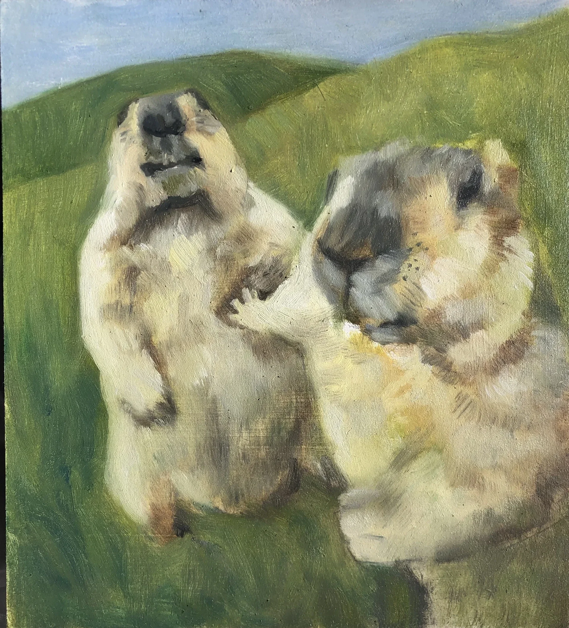 Marmots, 2025.
Oil on board, 15 x 20 cm
