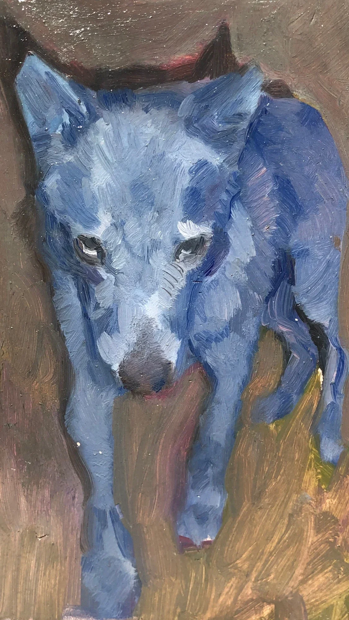 guilty, 2025.
Oil on wood plank, 12 x 18 cm