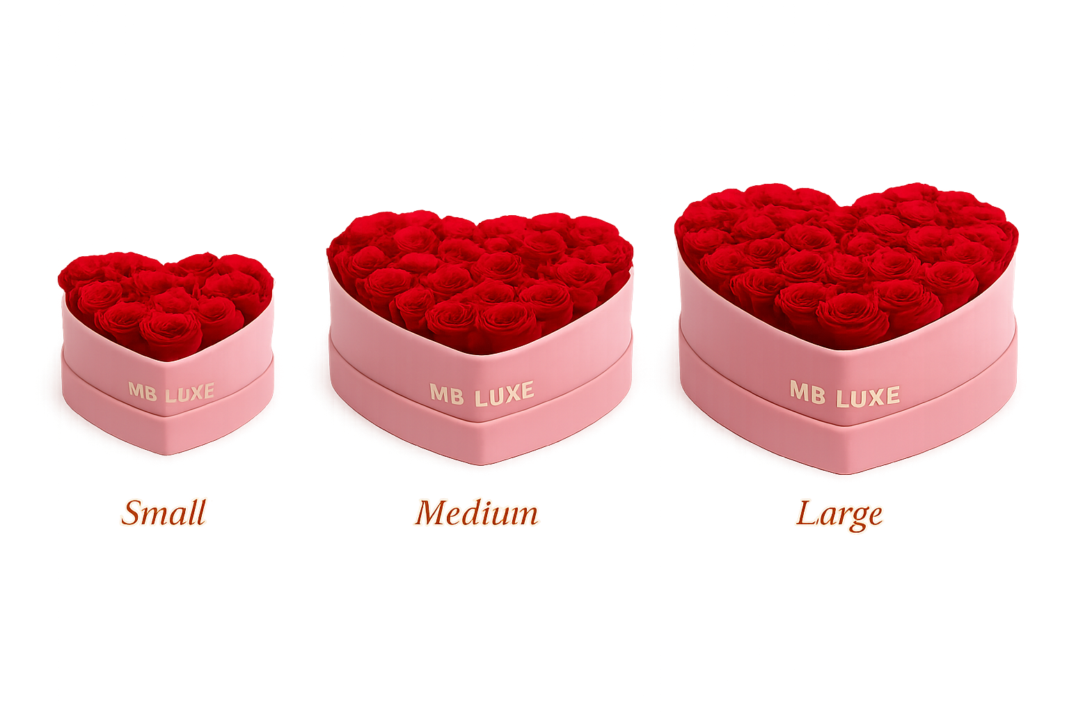 Choose Your Box Style