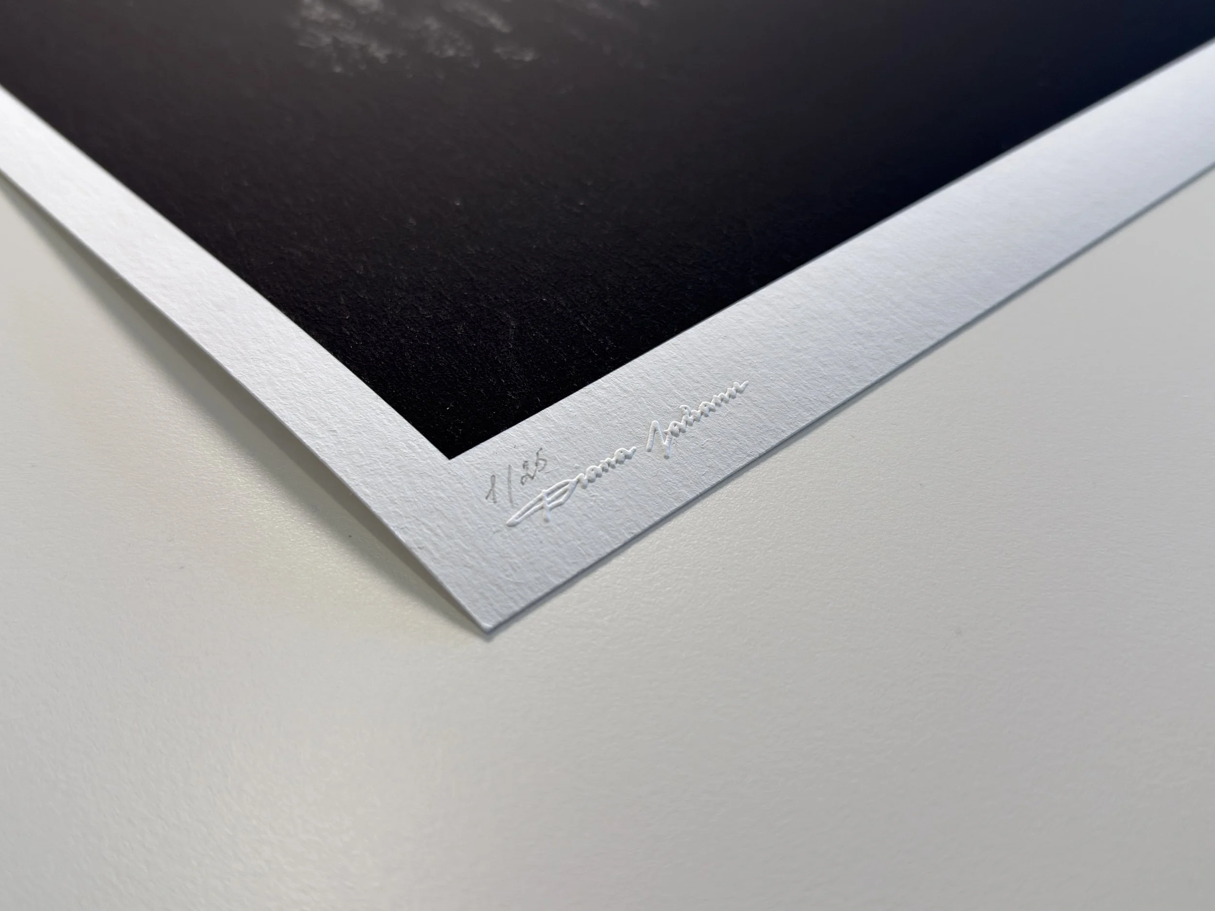 VII - 2026-04-14 11.36.46.jpg