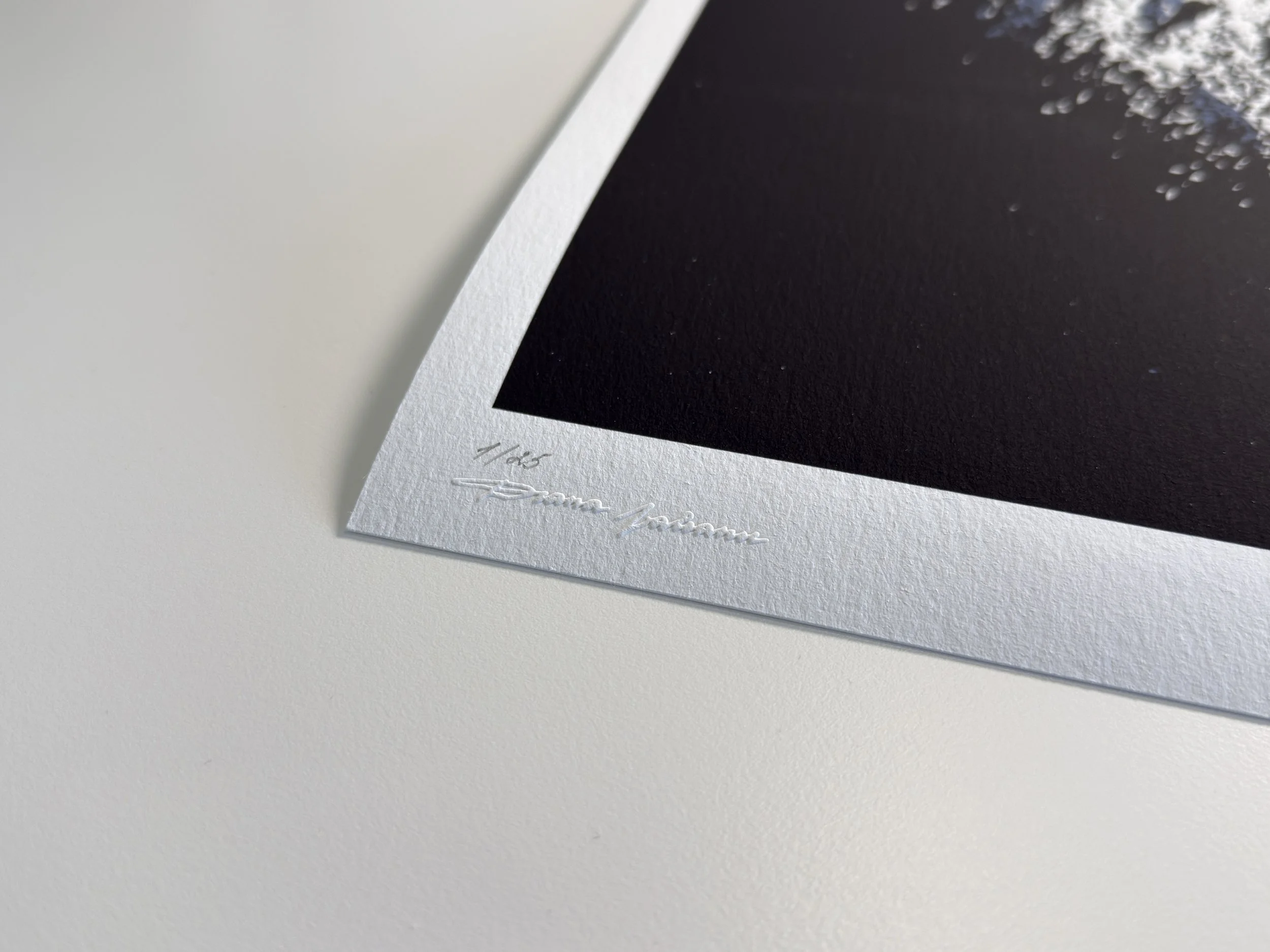 IX - 2026-04-14 11.23.35.jpg