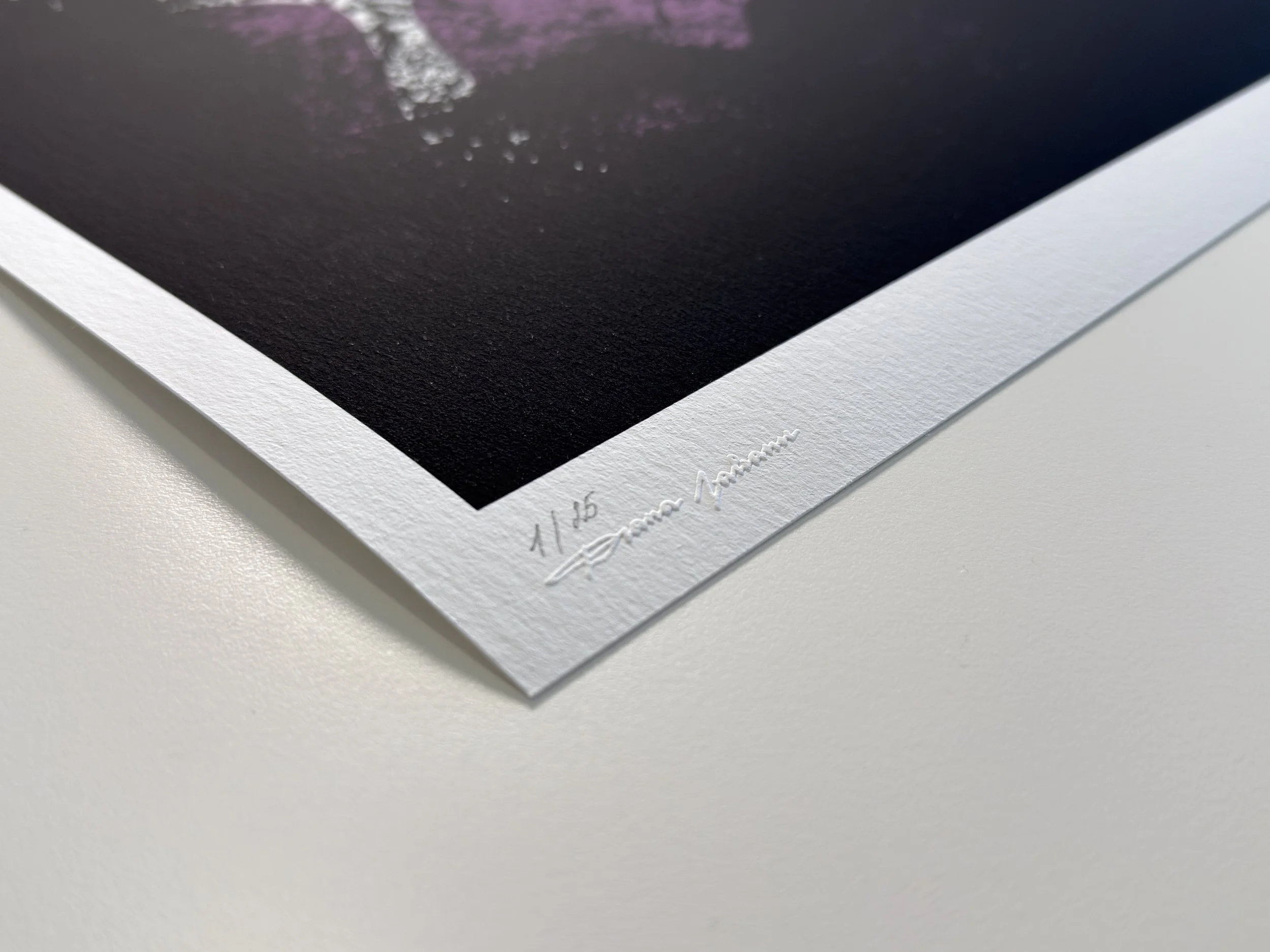 XI - 2026-04-14 11.01.00.jpg