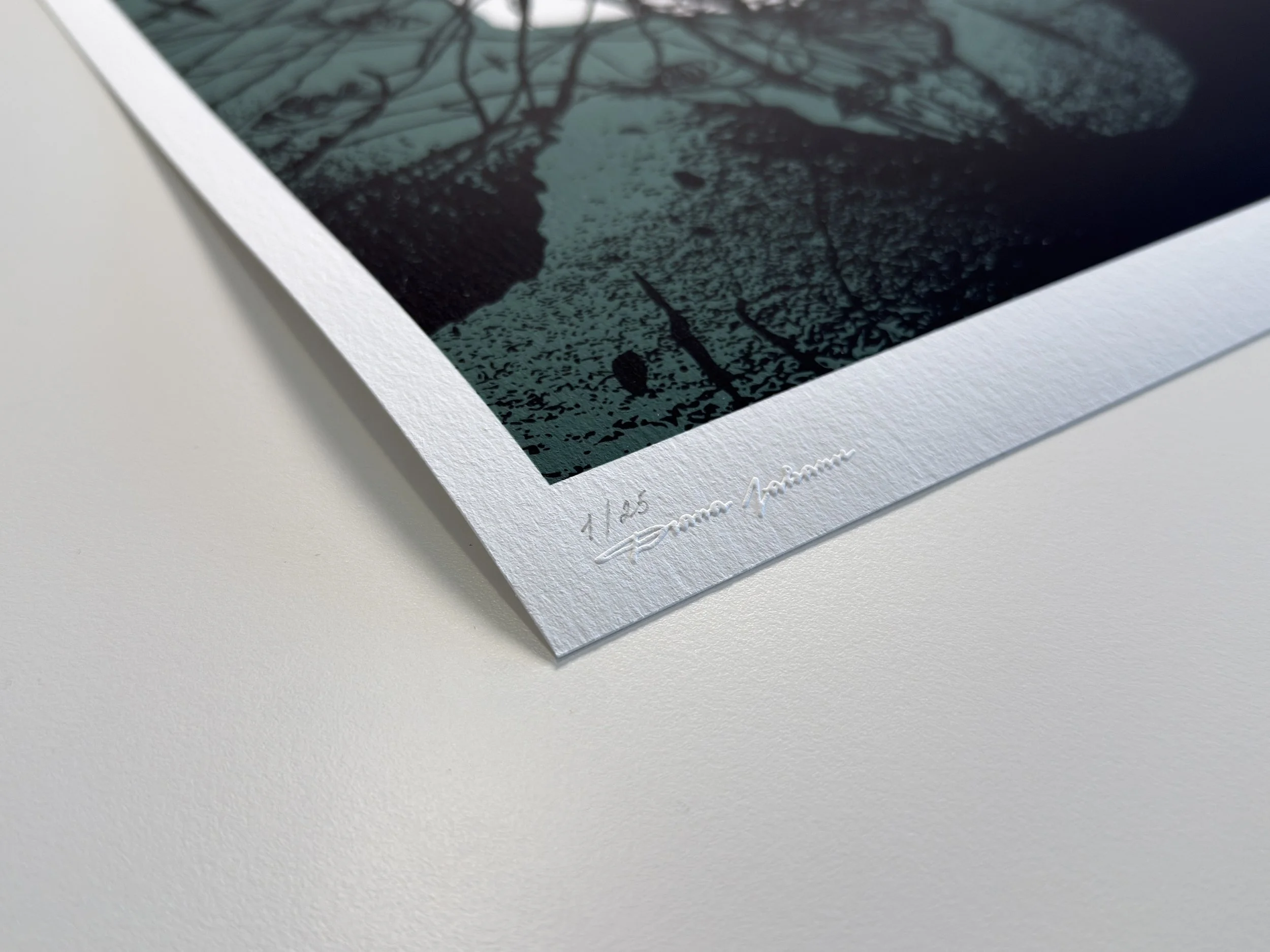 VI - 2026-04-14 11.44.58.jpg