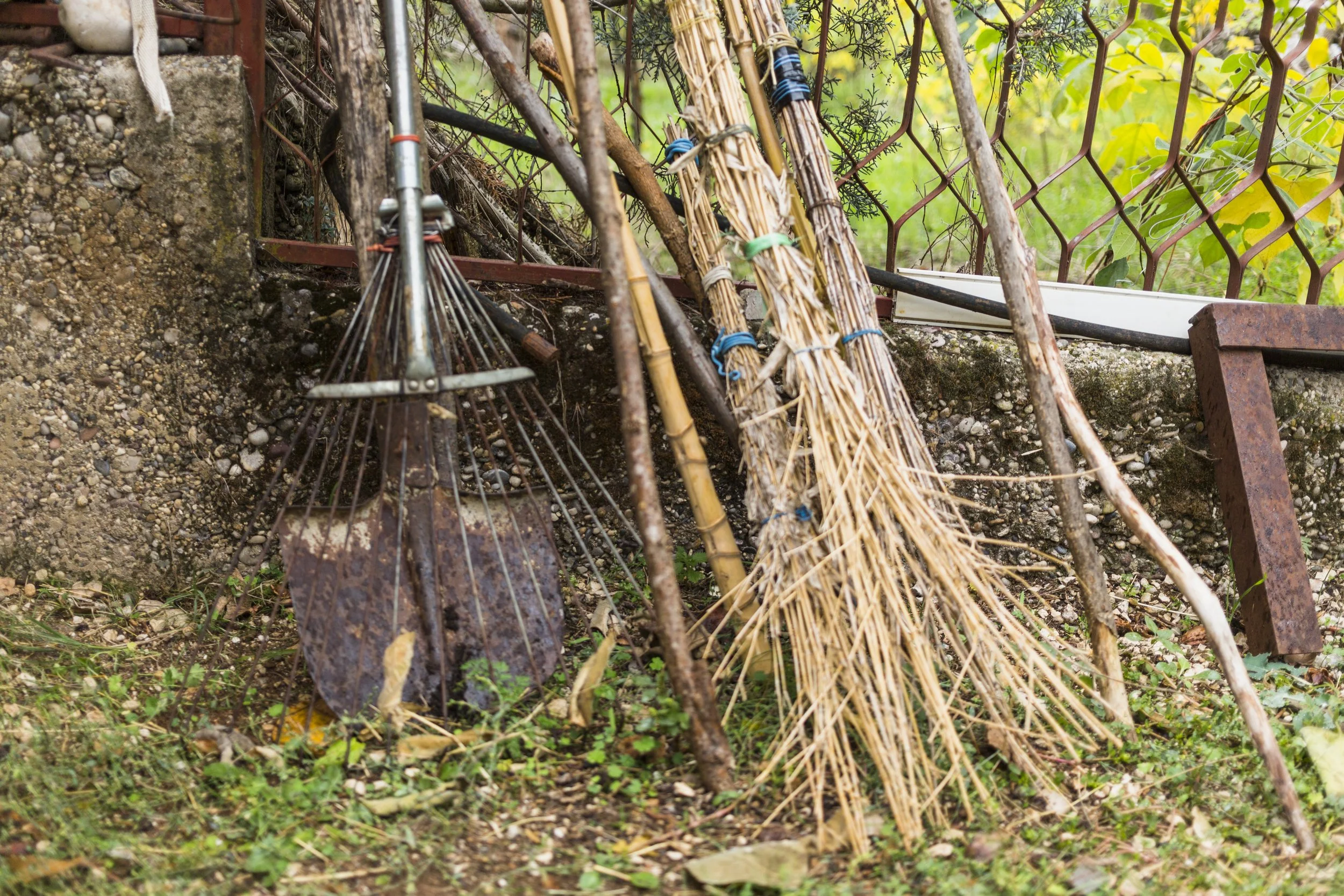 A collection of gardening tools including a rake and multiple sticks with tied bundles, leaning against a concrete wall with metal fencing and some green foliage in the background.