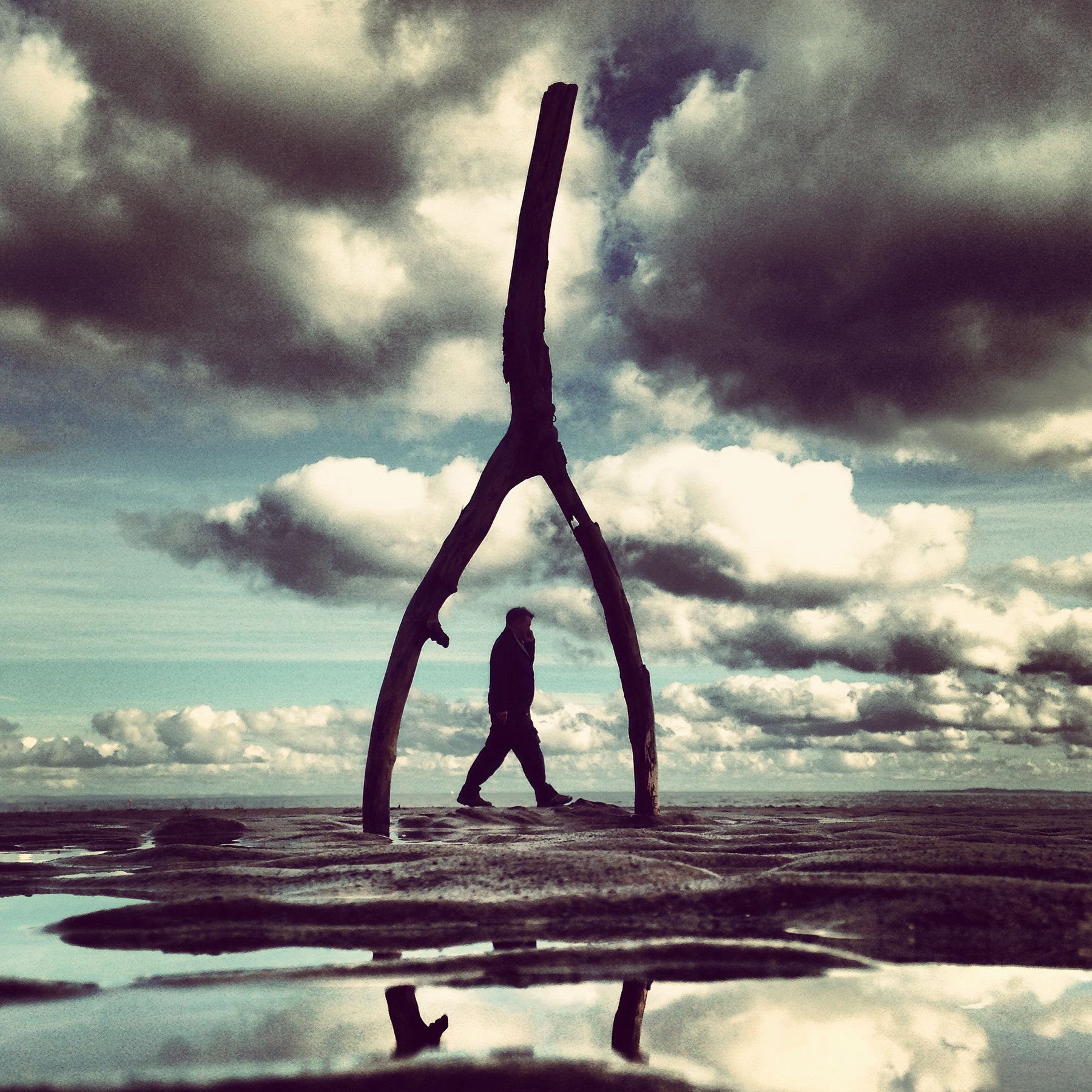 wishbone-figure-perspective- stick-beach-paul-macphail-1800px-031.JPG