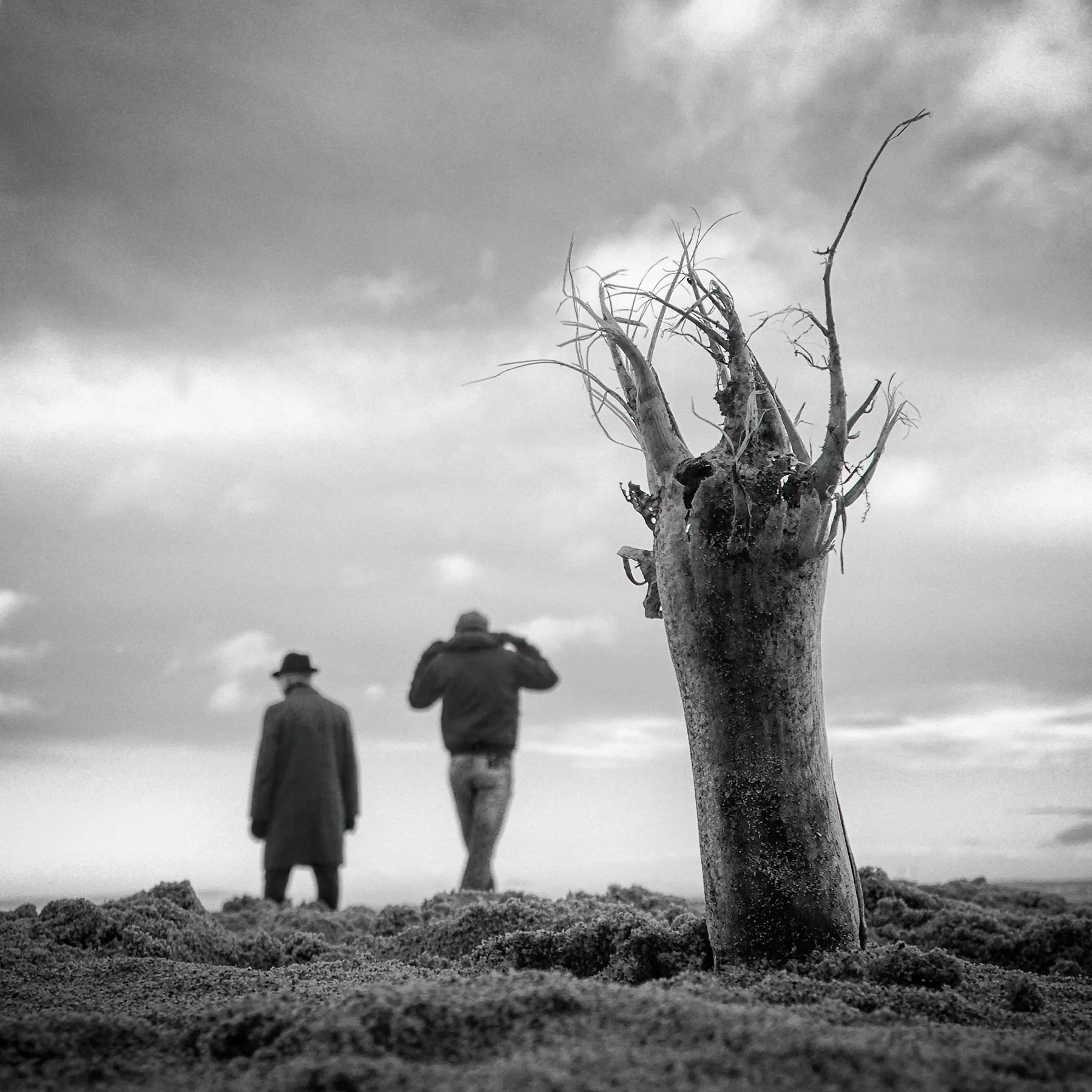 perspective-beach-simplicity-calmness- figures- root-sand-paul-macphail-1800px-034.jpg