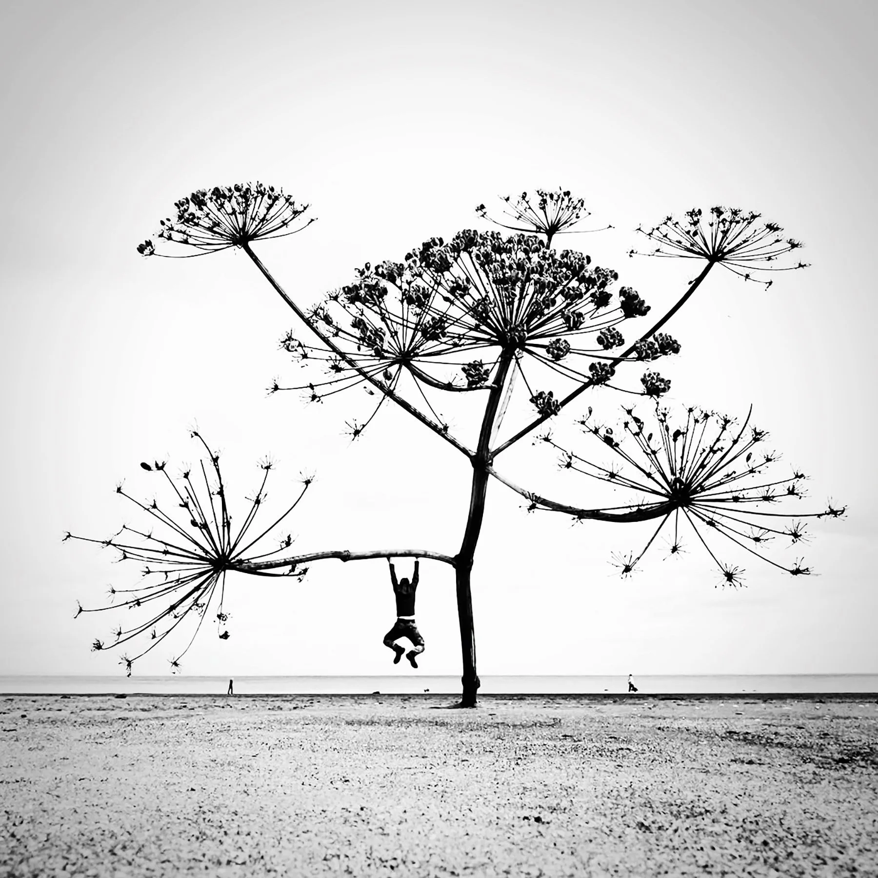 perspective-beach-simplicity-calmness-sculpture-hogweed-hanging-help-swing-figure-paul-macphail-1800px-045.jpg
