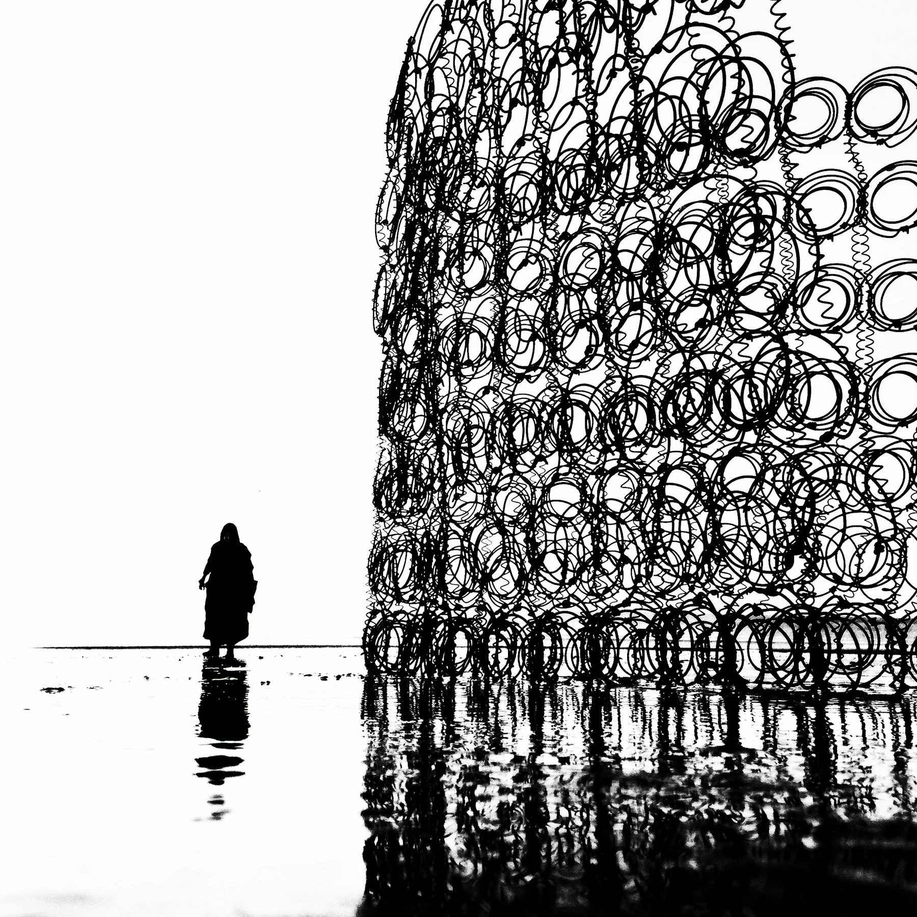wire-circles-bed-springs-perspective-portobello-burka-momo-contrast-reflection-paul-macphail-1800px-019.JPG