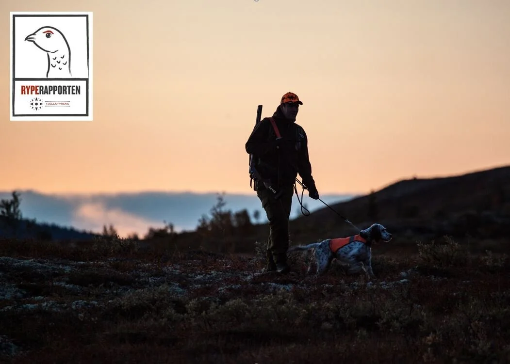 Den detaljerte RypeRapporten finner du her