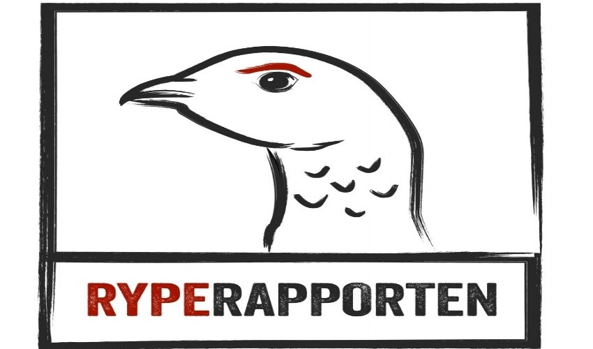 Den store RypeRapporten er klar!