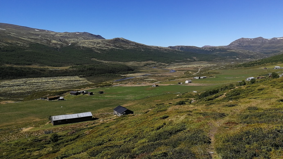 Dovre søker etter ny daglig leder/Fjelloppsyn