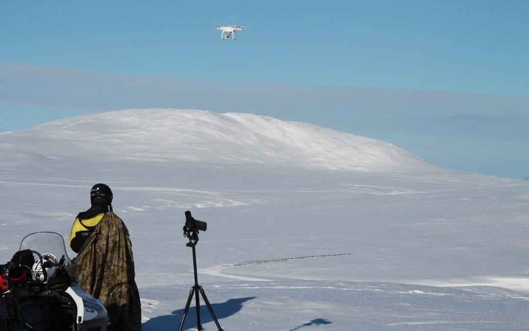 Droner brukt under villreintelling