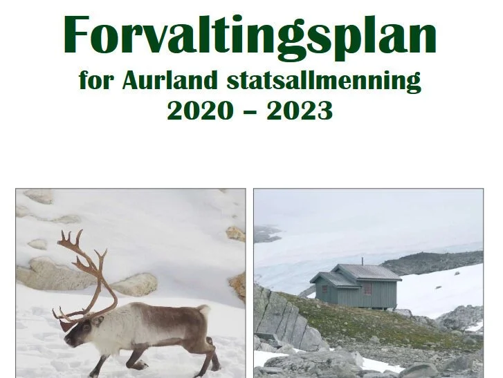 Forvaltningsplan for fjellstyre