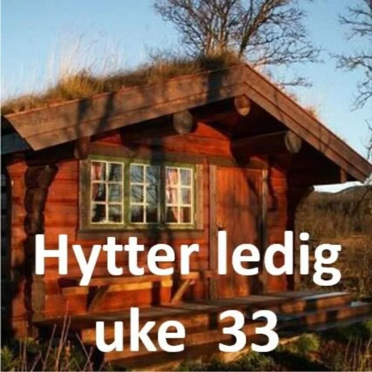 331.jpg