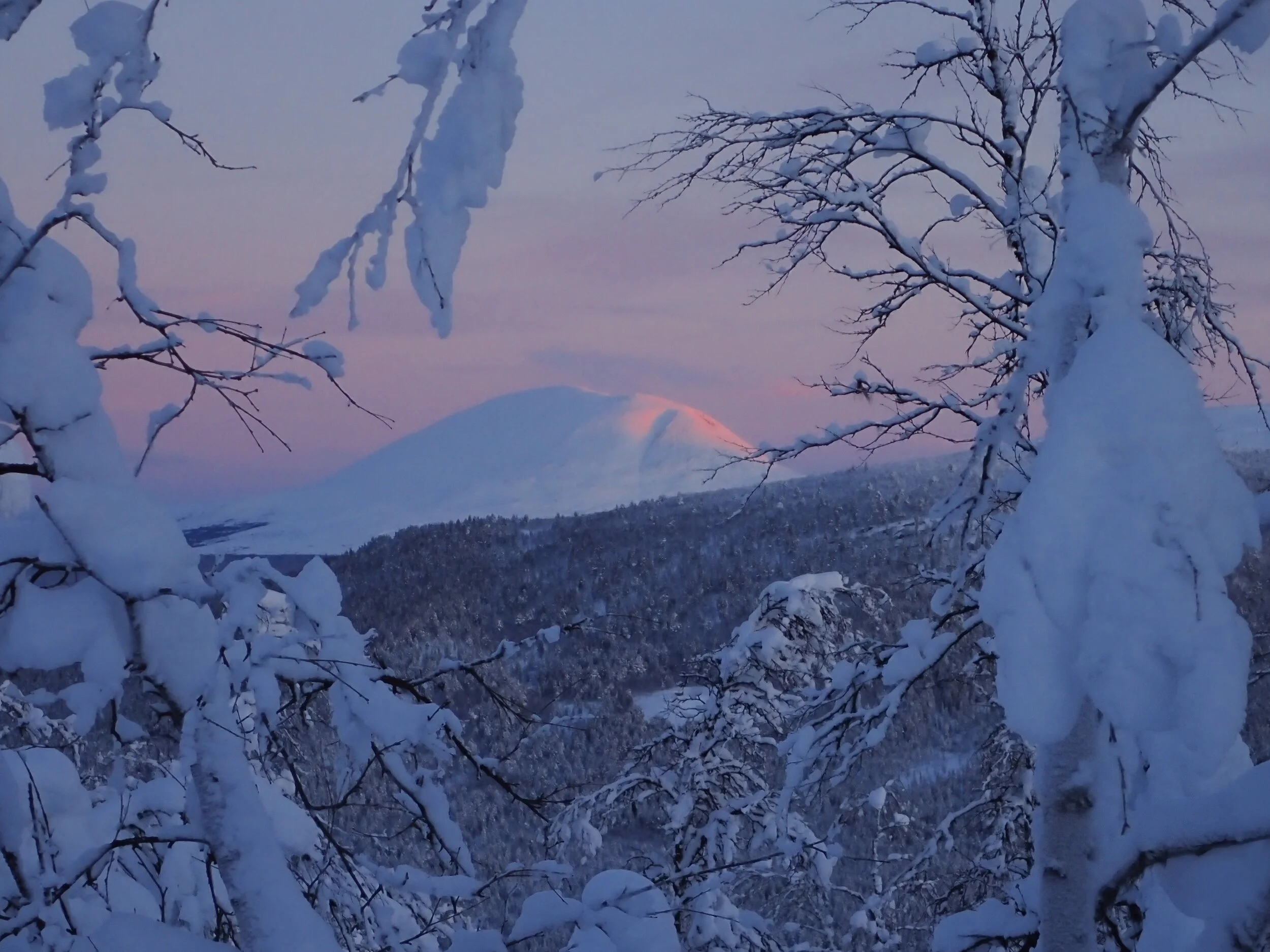 FRP styrker fjellstyrene!