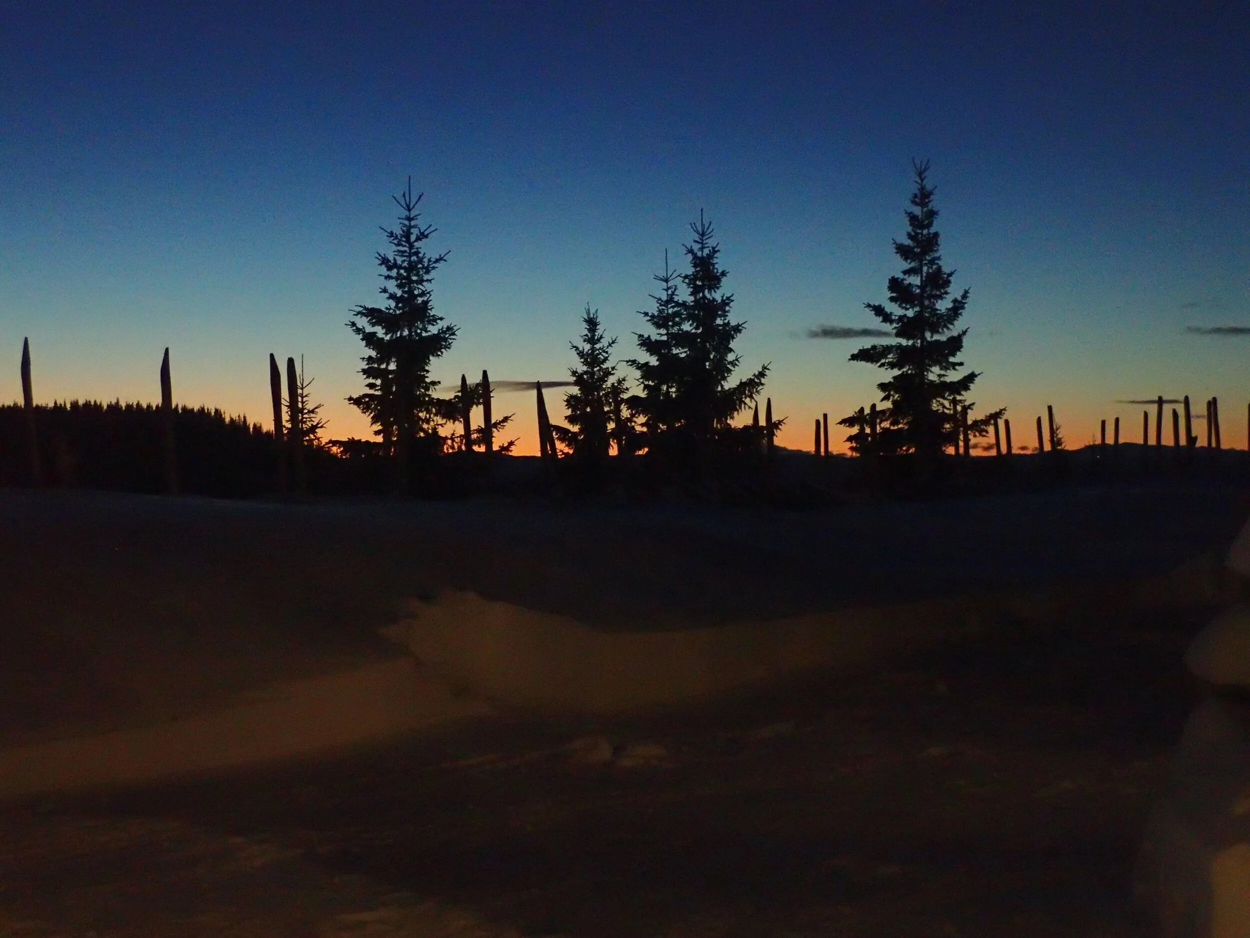 God jul og godt nytt år