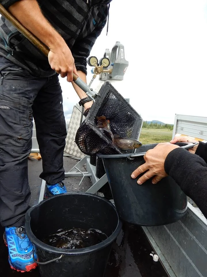 Gode fiskevann fikk påfyll