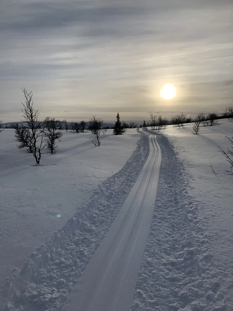Gode snøforhold hos Ringebu fjellstyre