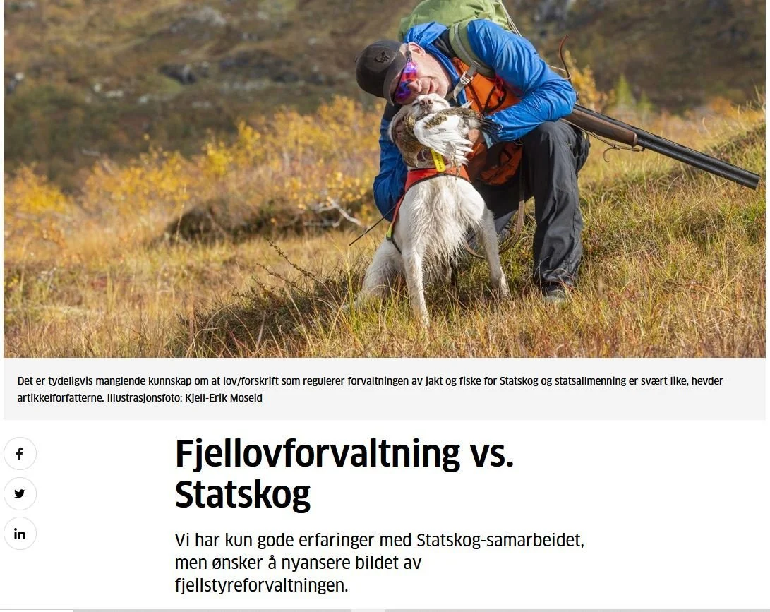 Gode tilbakemeldinger 