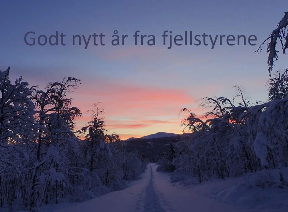 Godt nytt år!