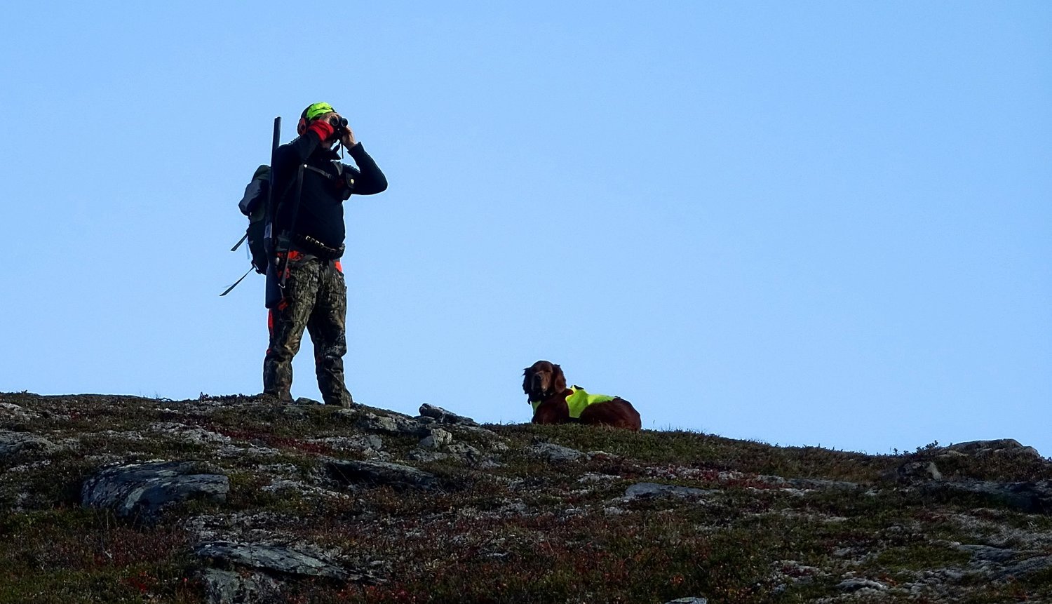 Gratis jaktkort til førstegangsjegere