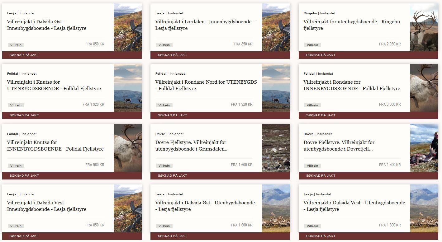 Nå kan du søke villreinjakt hos fjellstyrene!