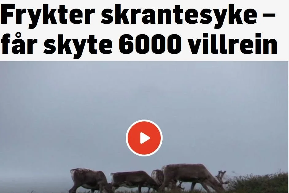 Jakta på bukkene er godt i gang