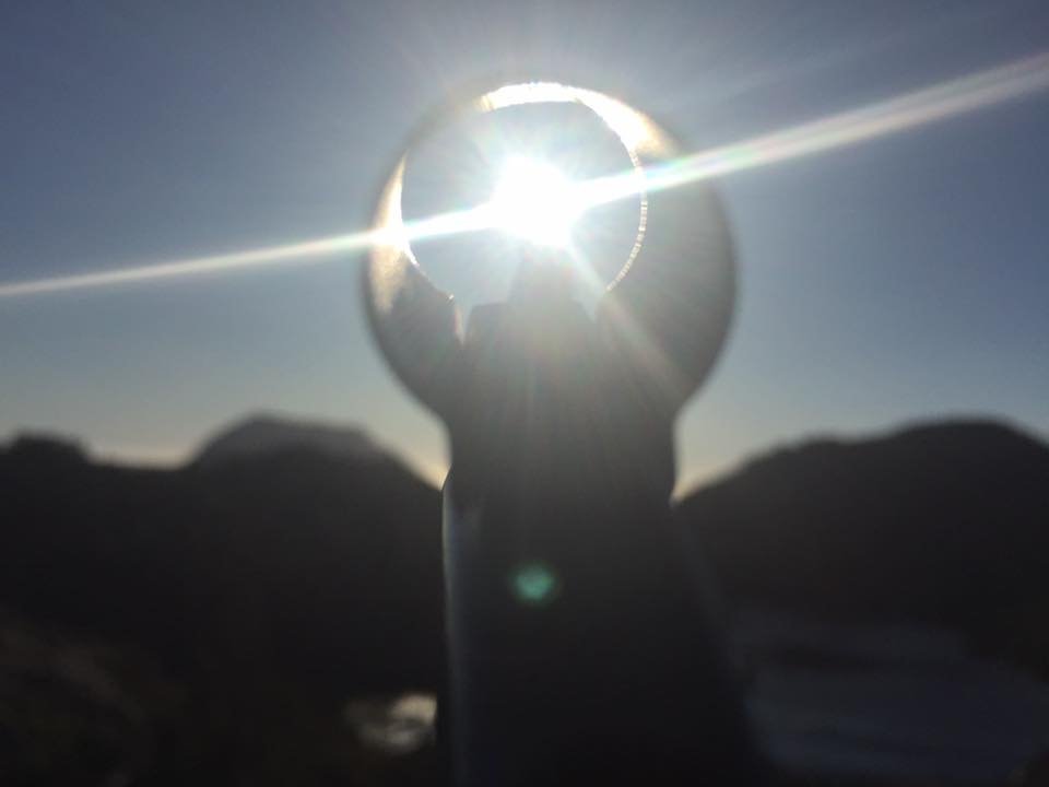 Korttidsjakt på elg og hjort