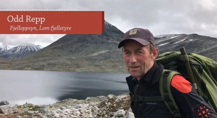 Ledig stilling som Fjelloppsyn/Daglig leder