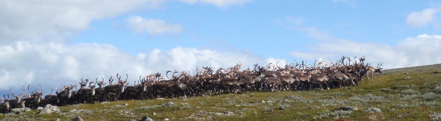 Meld deg på i kampen om høstens eventyr!
