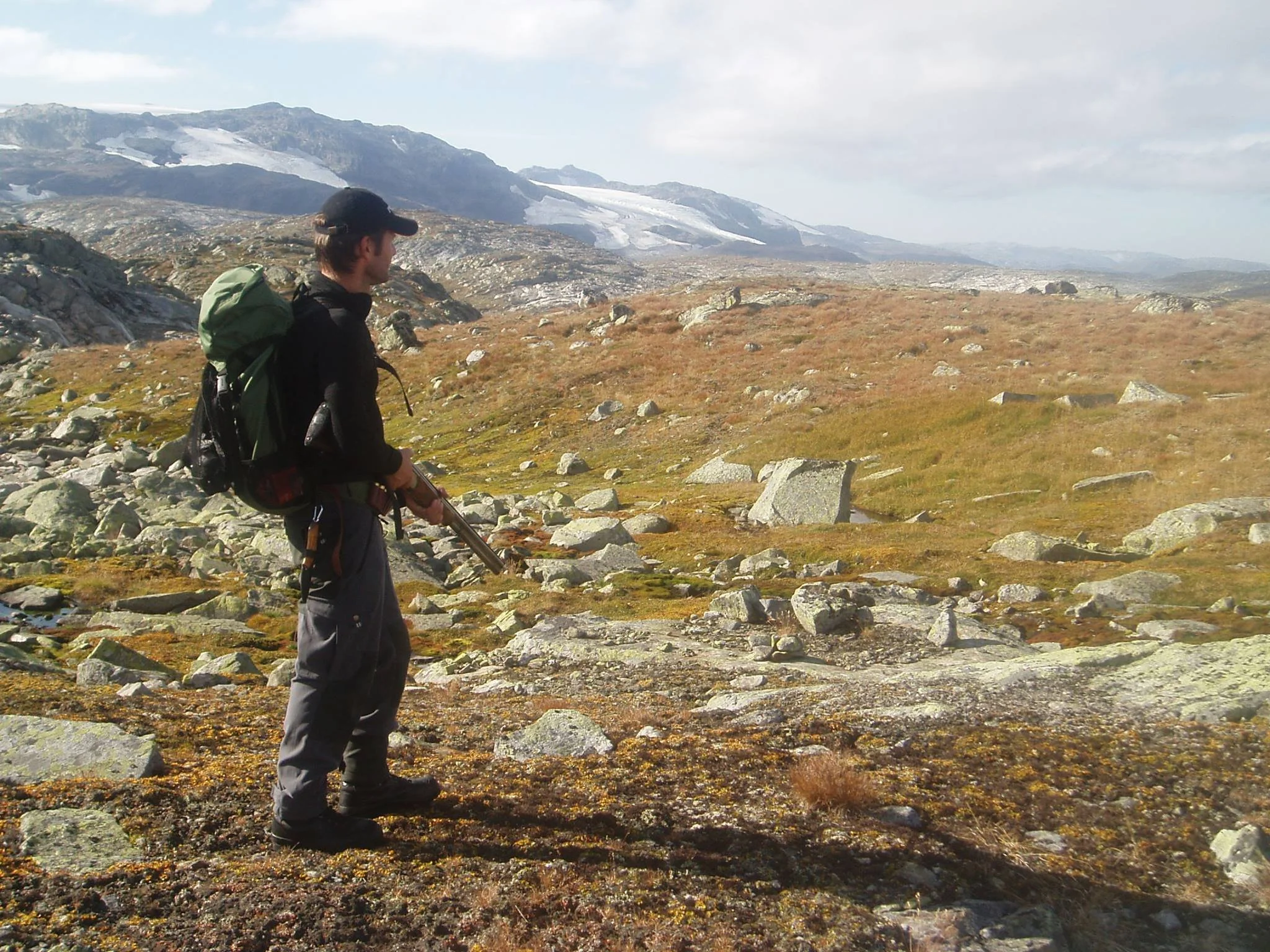 Nå kan du igjen jakte hos Ulvik fjellstyre