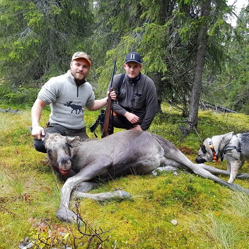 Opplæringsjakt med suksess