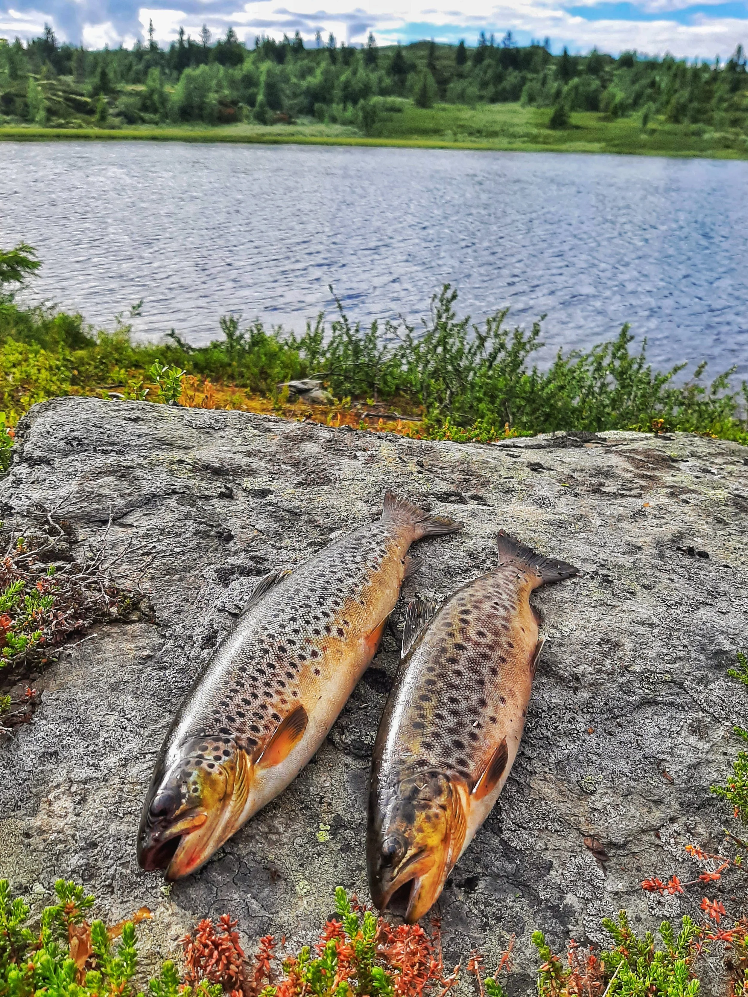 øyer 0220702_174307-01.jpeg